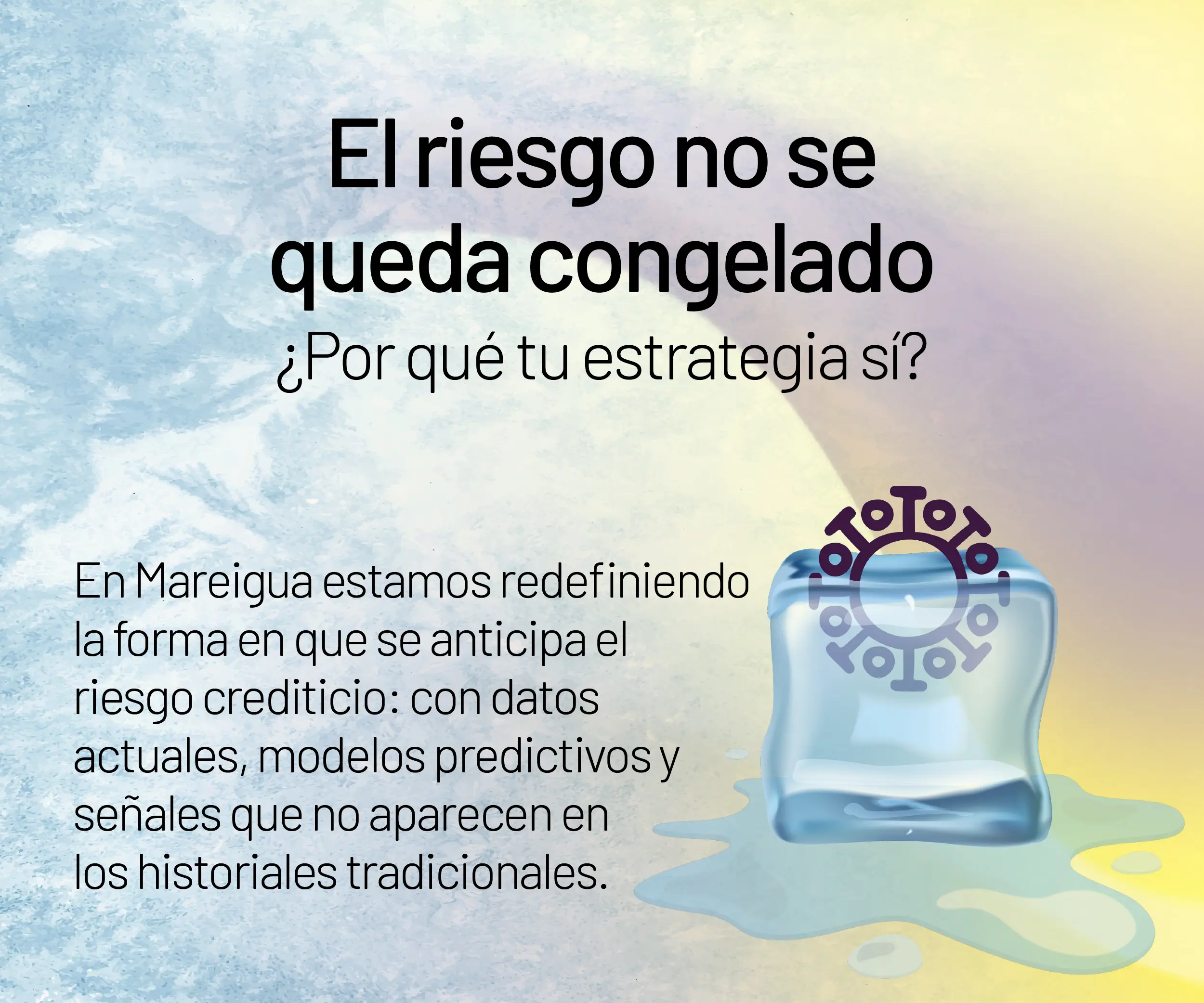 Noticias Web